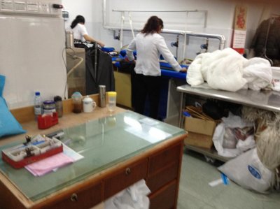 惠州婦幼保健院洗衣房設備購置及安裝詢價采購